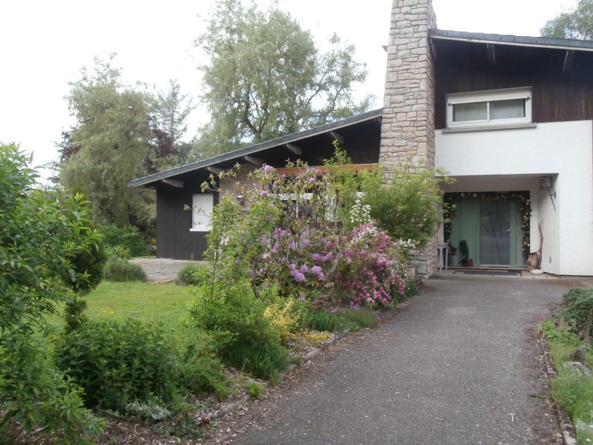 L'Echappee Belle A L'Etang D'Anty -Appartement Saint-Nabord Exteriér fotografie
